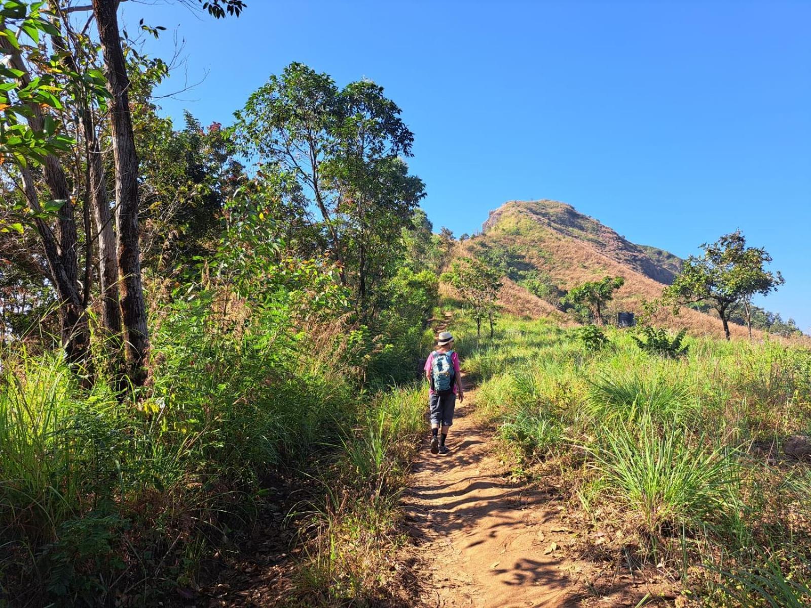 Munnar Village Homes Экстерьер фото