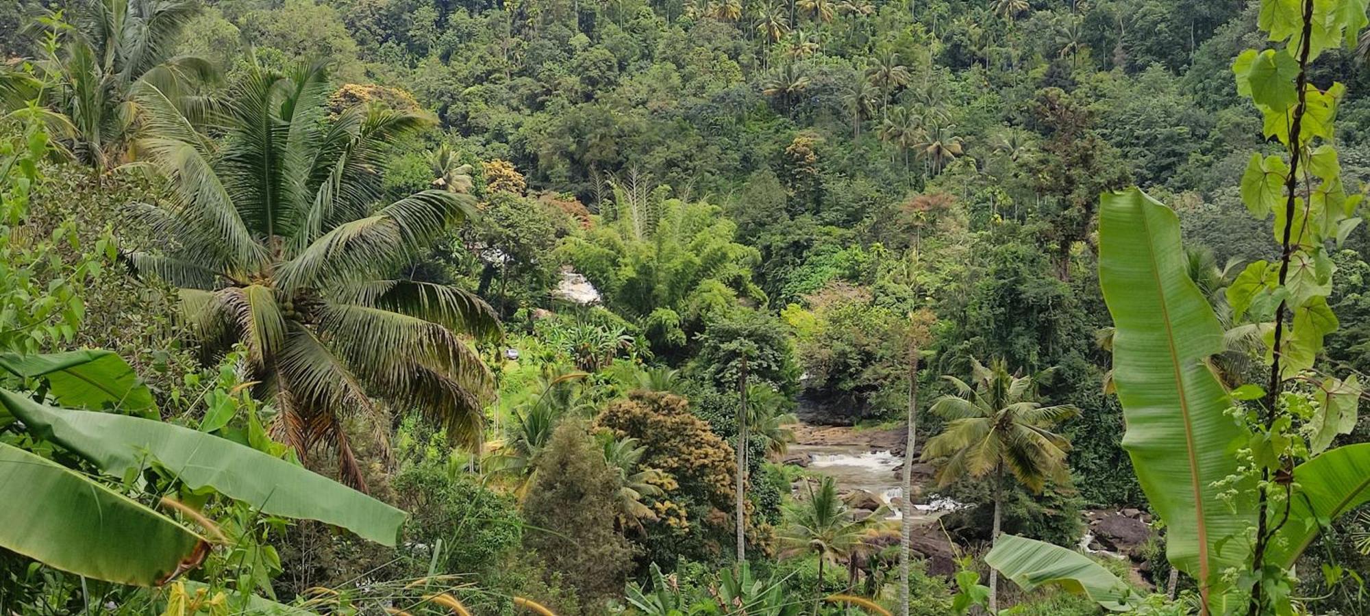 Munnar Village Homes Экстерьер фото